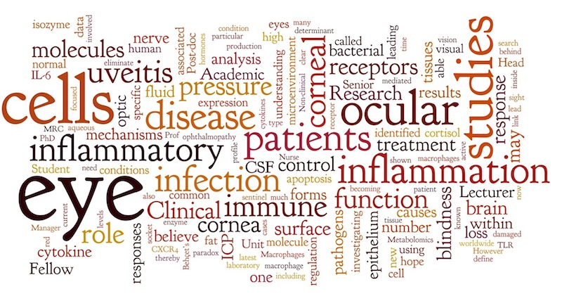 Word Cloud illustrating our research interests and aims.